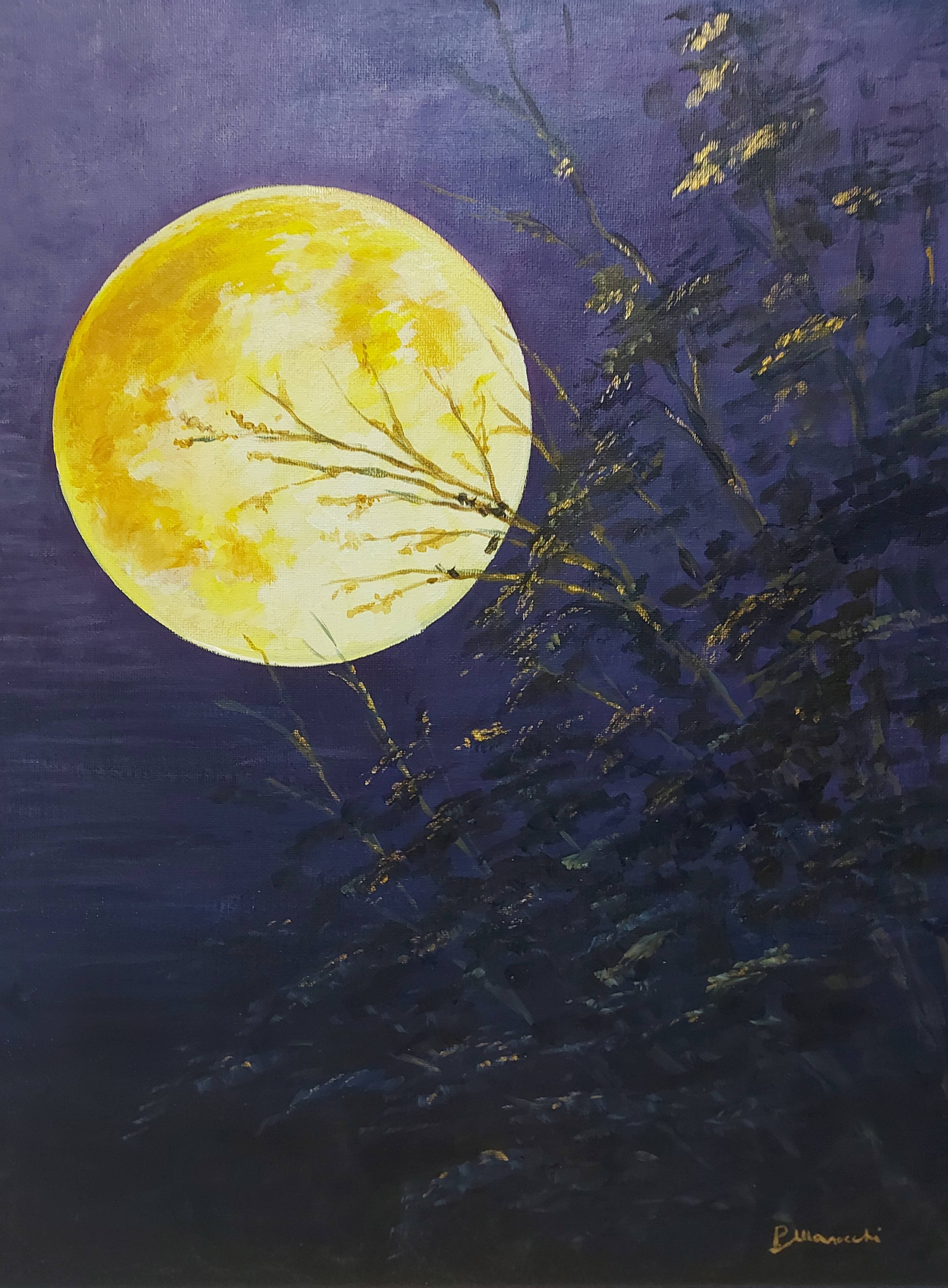 Opera d&apos;arte: Chiaro di luna di Patrizia Marocchi